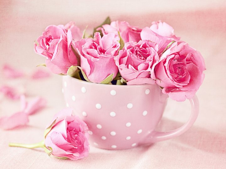rose 1785320371871 3412