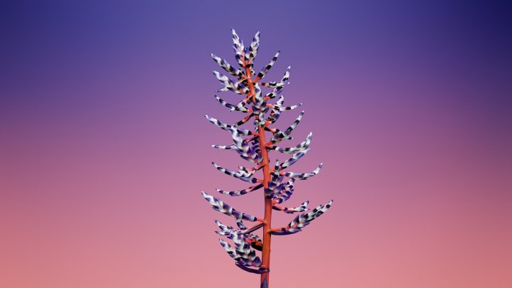 floral