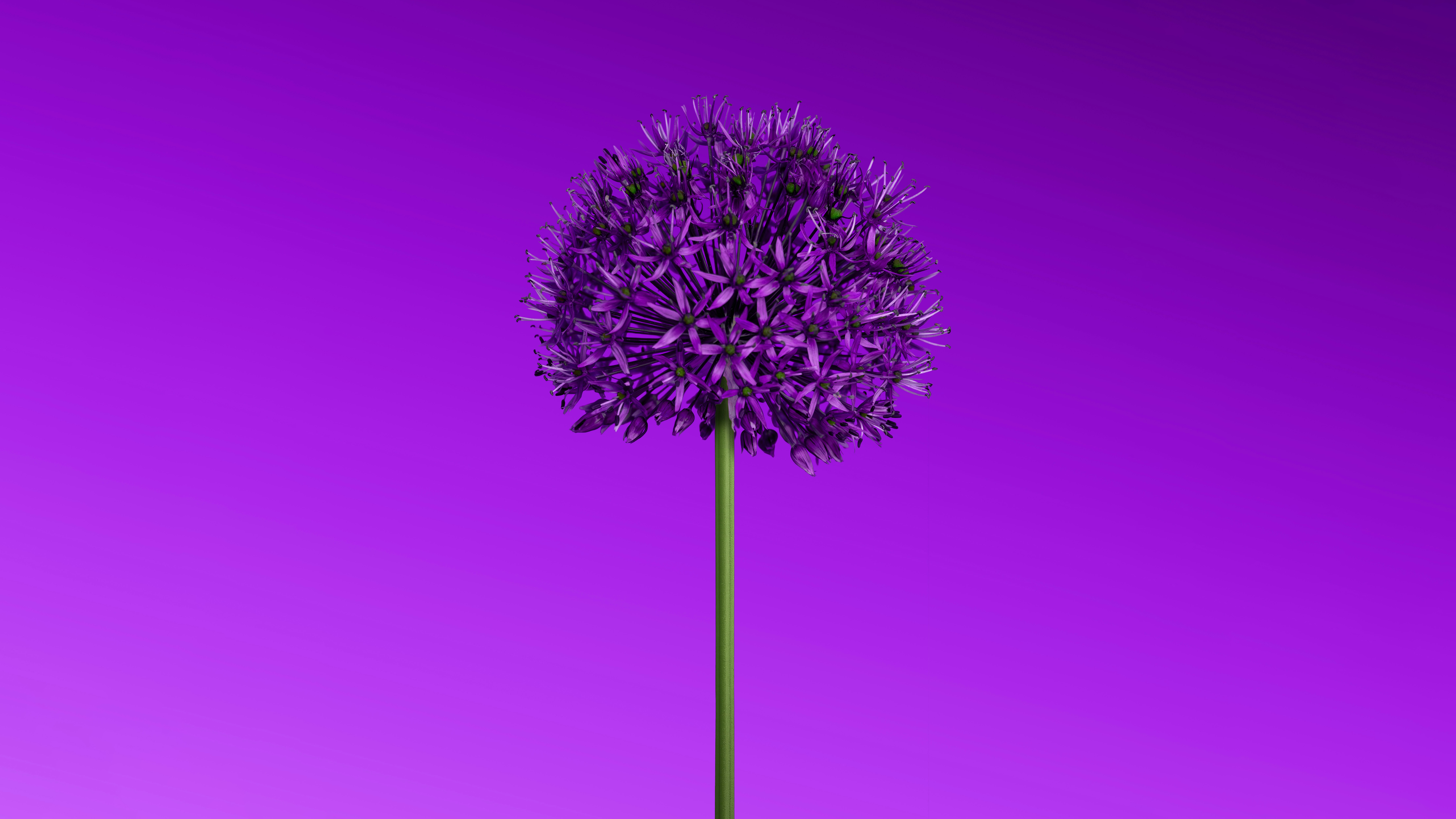 Gradyan